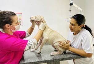 O Programa Saúde do Animal (PSA) tem como objetivo fortalecer a guarda responsável de animais visando reduzir o número de cães e gatos abandonados na cidade