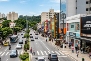 De Via Pacata a Corredor Econômico A Metamorfose Comercial da Av. Maria Luiza Americano