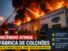 Incêndio atinge fábrica de colchões na Zona Leste de São Paulo e mobiliza bombeiros