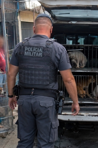 vítimas de maus-tratos em Ermelino Matarazzo