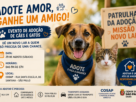 Adoção de cães