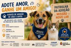 Adoção de cães